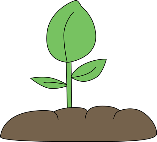 Plant - Plant Clip Art (500x452)