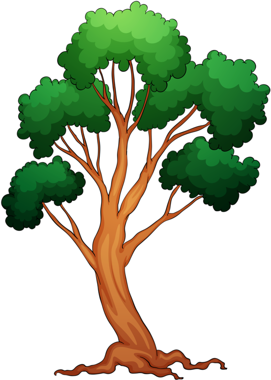 Яндекс - Фотки - So Many Trees To Color Coloring Book (611x800)
