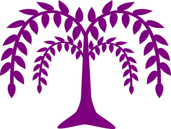 Willow Long Clip Art - Weeping Willow Tree Clipart (600x452)