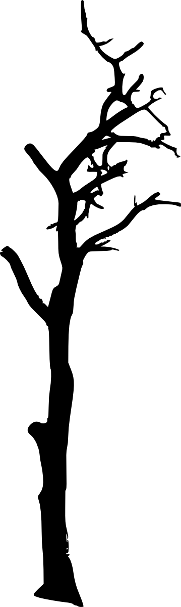 Free Download - Portable Network Graphics (359x1200)