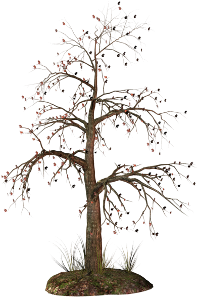 Dead Tree Png Clipart - Tree (401x600)