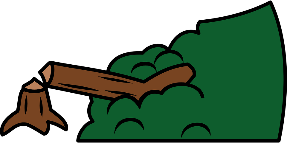 Tree Felled Cut Chopped Stump Forest Wood Timber - Tree Felled Cut Chopped Stump Forest Wood Timber (1280x640)