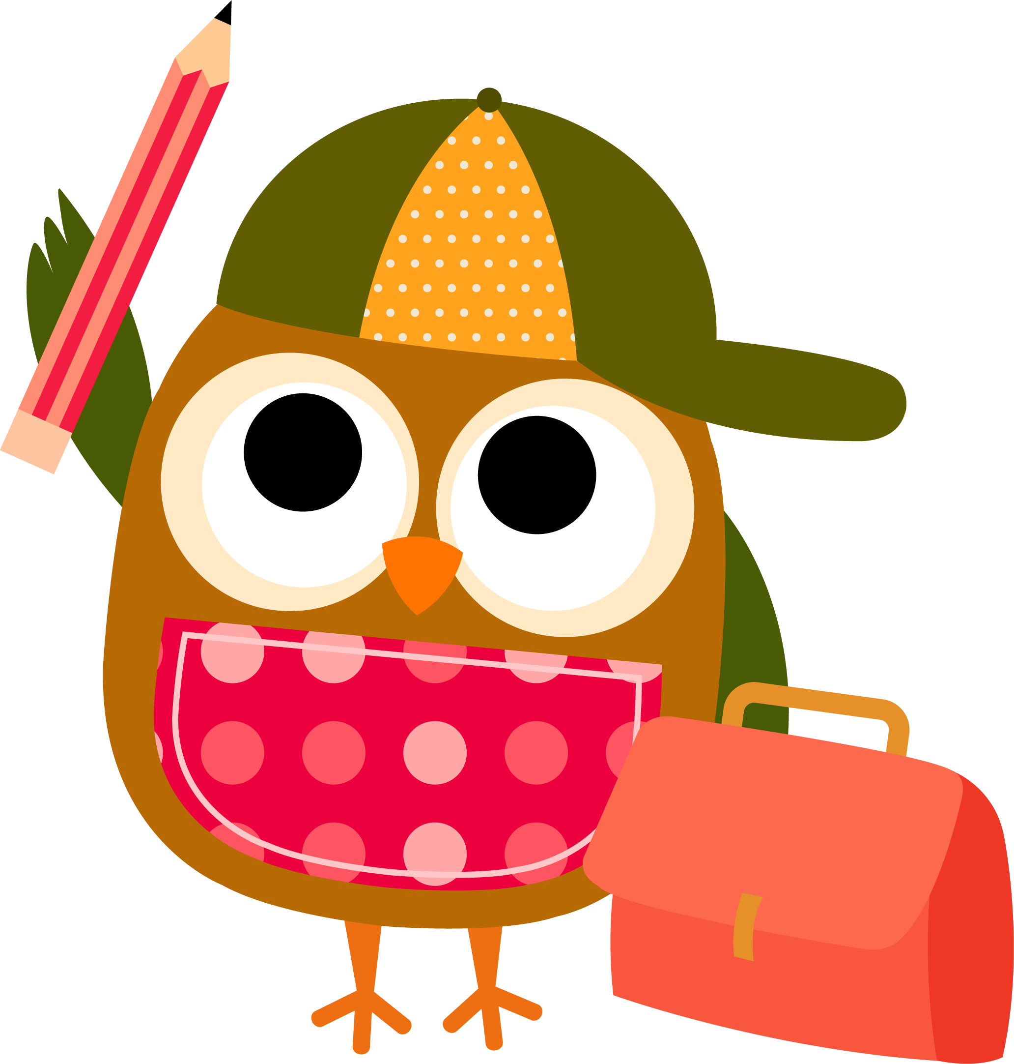Download - Colorful Owls Birthday Banner Personalized Party Backdrop (2064x2164)