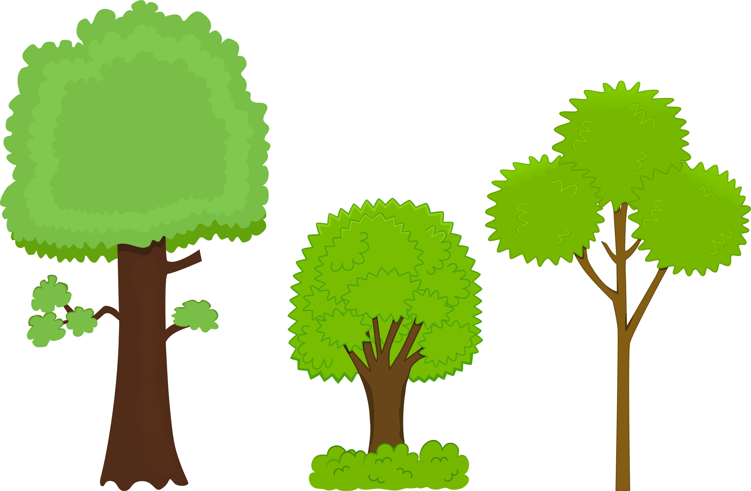 Pictures Of Cartoon Trees - Three Different Trees (2400x1570)
