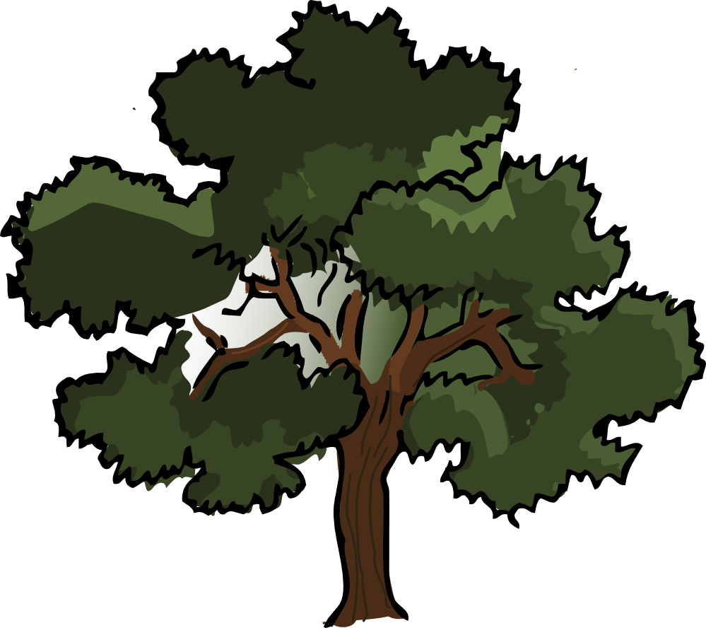 Oak Tree Vector Free Download - Oak Tree Vector Free Download (999x888)