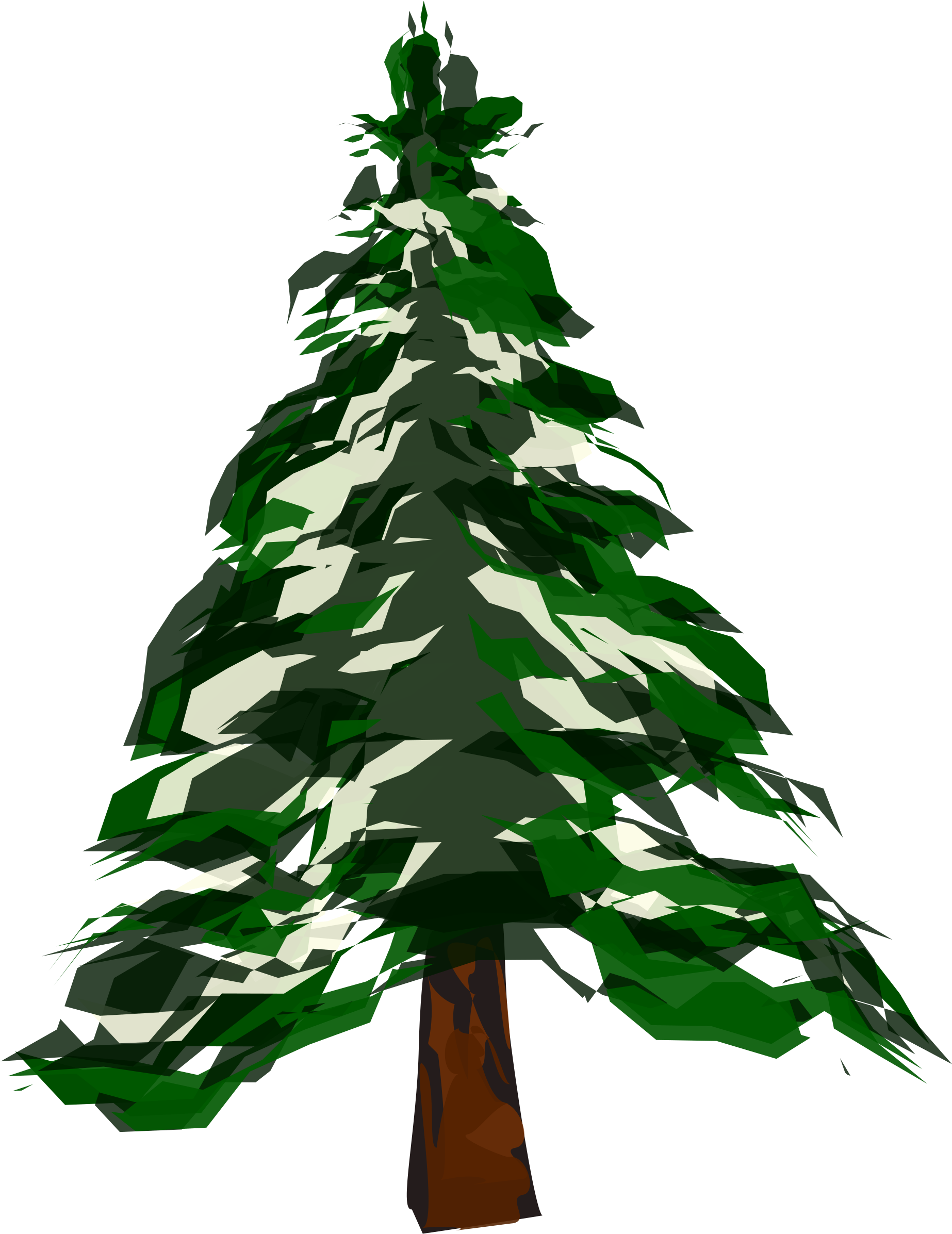 Winter Trees Clip Art - Deciduous Vs Coniferous (1854x2400)