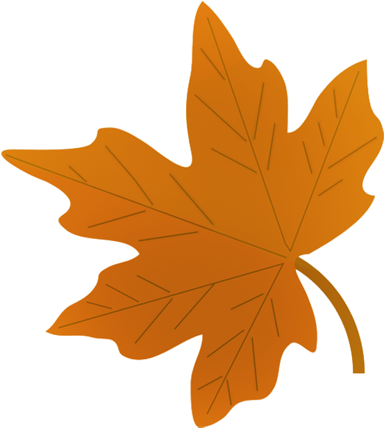 Green Fall Leaf Drawing - Draw A Autumn Leaf (595x650)