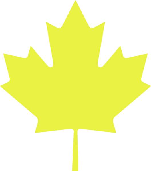 Canada Icon (528x596)
