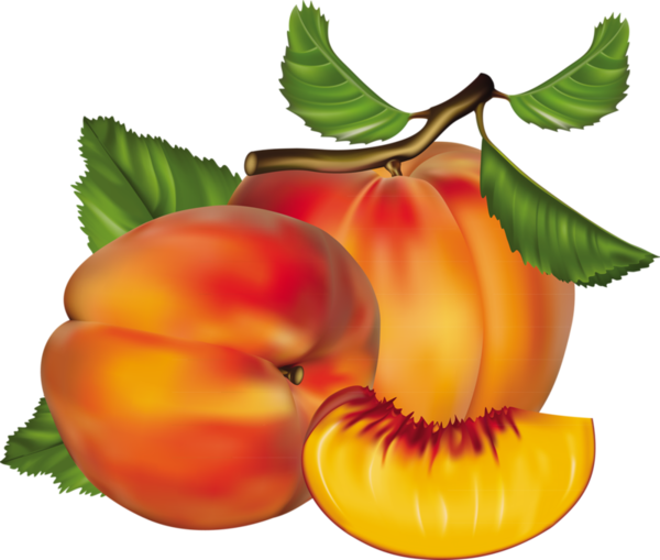 Album - Peach Fruit (600x509)