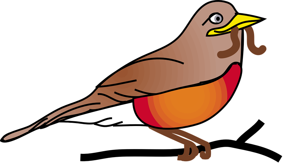 Red, Robin - - Free Clip Art Robin (960x551)