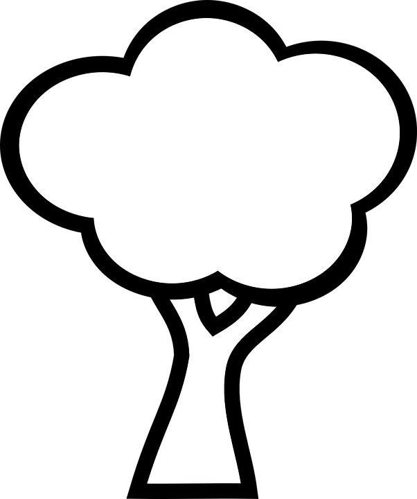 Tree Black And White Drawing (1070x1280)