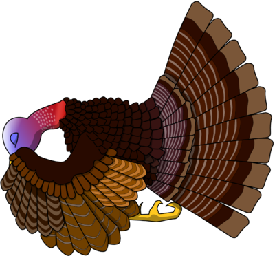Praying Turkey - Praying Turkey Cartoon (400x372)