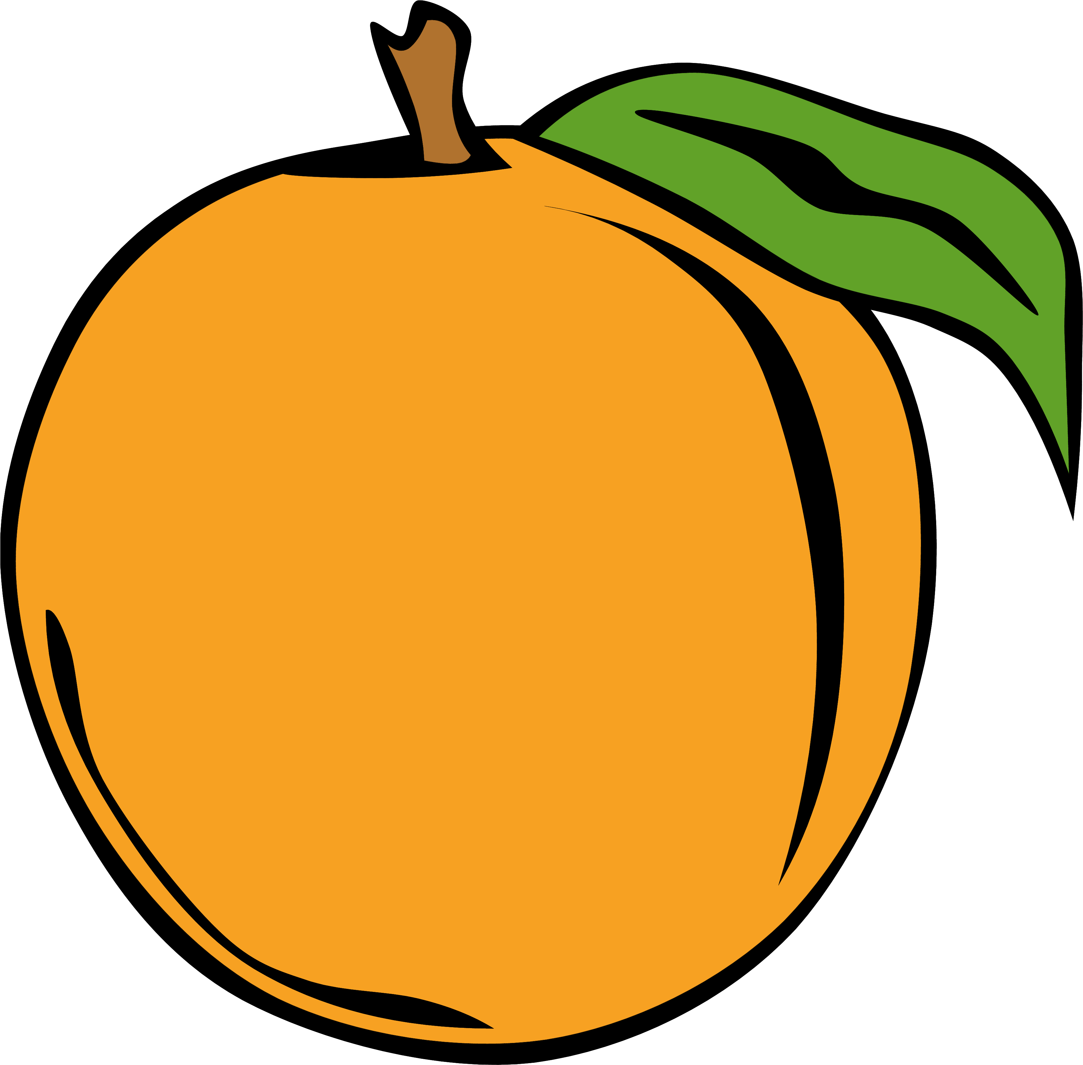 Peach Clip Art Clipart Photo - Custom Peach Shower Curtain (3534x3475)