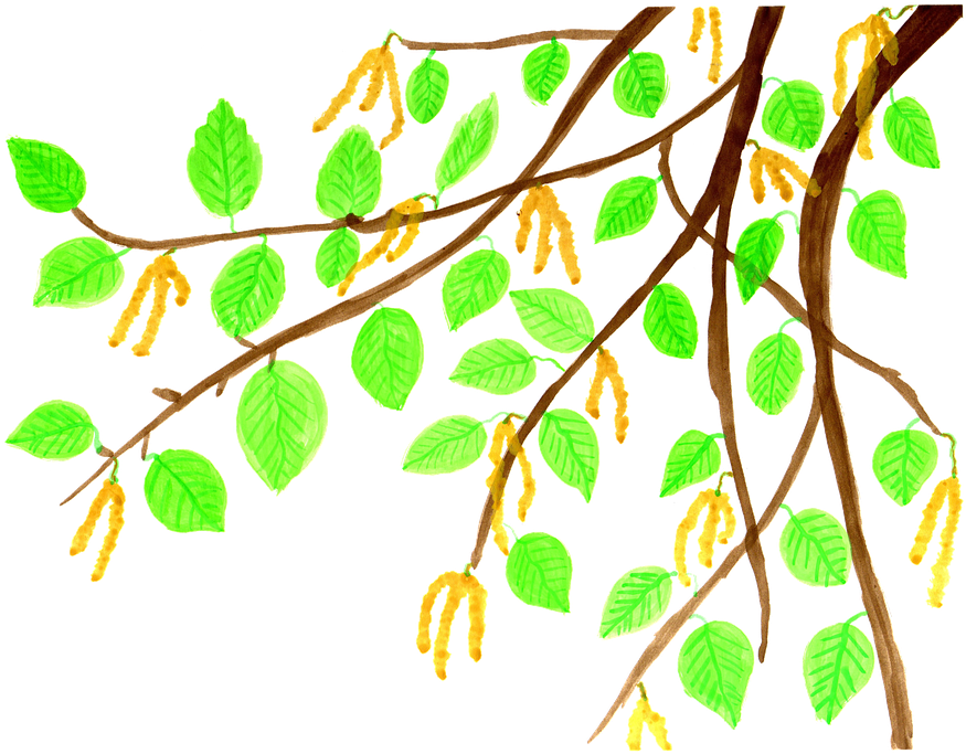 Clip Art (958x720)