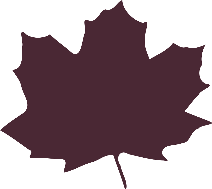 Birch - Leaf - Clipart - Leaf Purple Cartoon (900x900)
