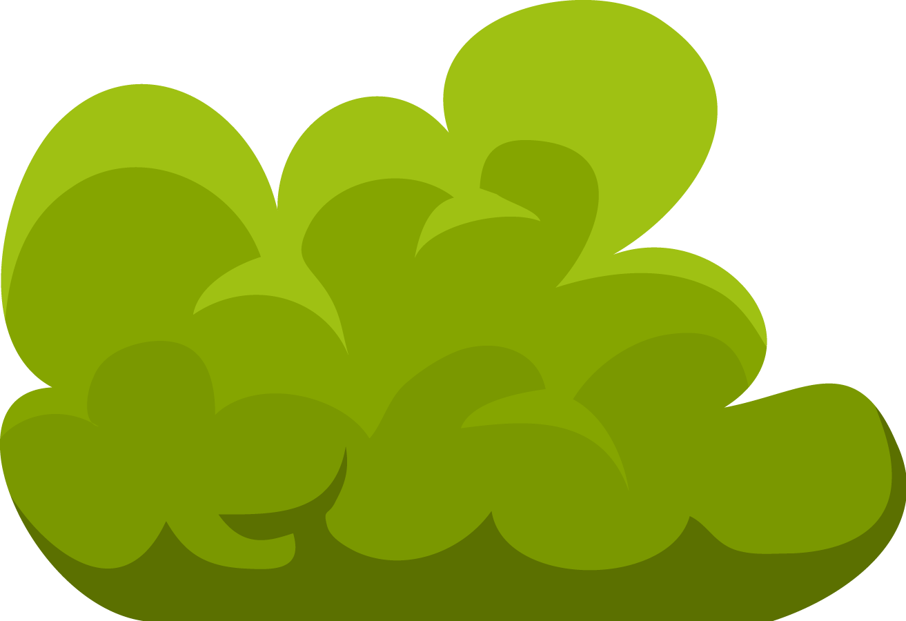 Bush Clipart - Bush Plant Clip Art (1313x900)