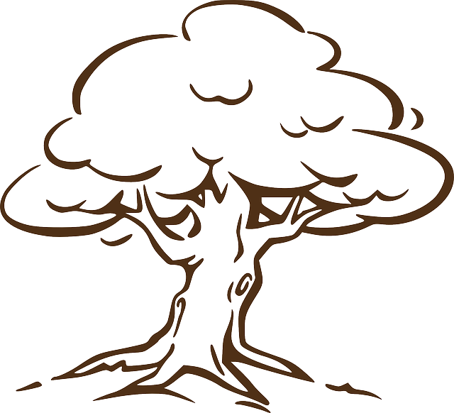 Bare Tree Clipart (640x582)
