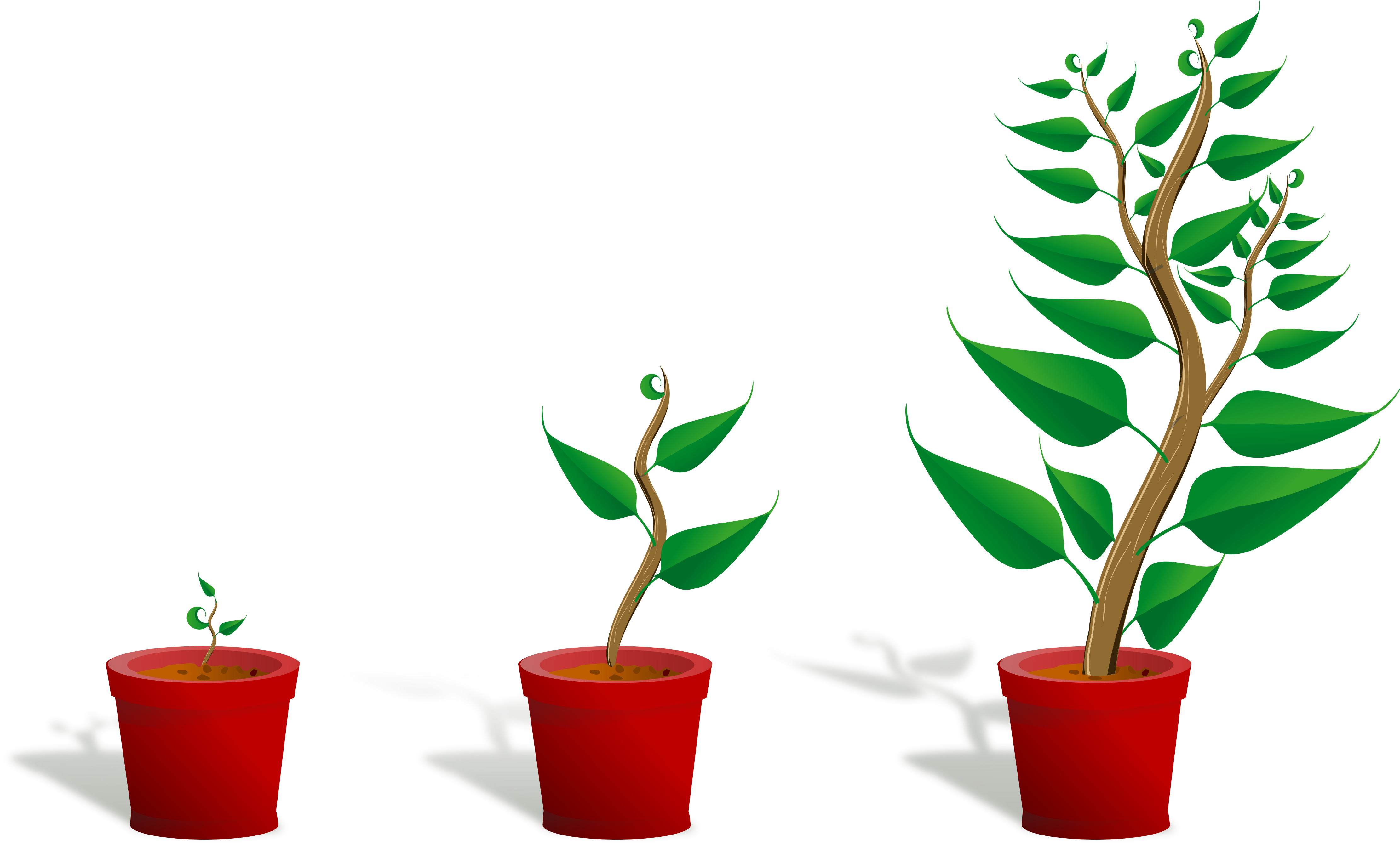 Flower - Plant - Clipart - Flower - Plant - Clipart (4444x2678)