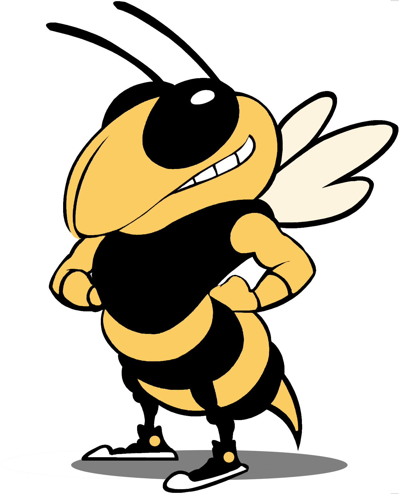 Thomas County Central Yellow Jackets (1864x1799)