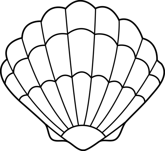 Free Clip Art - Shell Coloring (550x504)