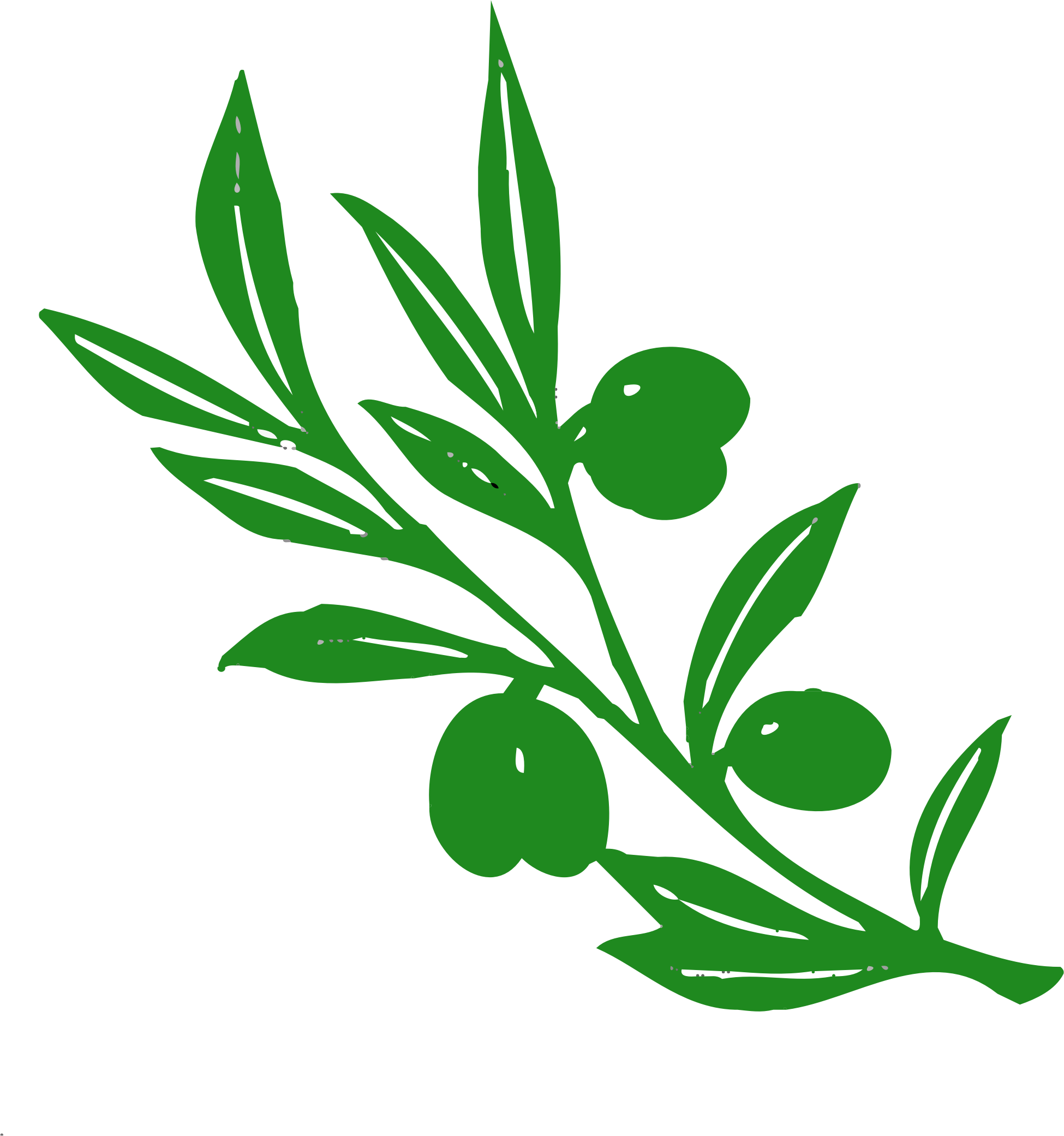 Tree Branch - Tree Branch (1950x2081)