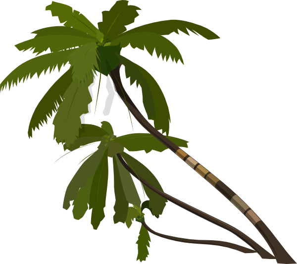 Jungle Tree Vector Png (600x533)