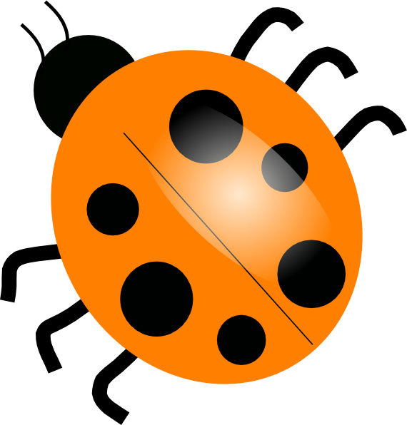 Ladybug Black And White (570x596)