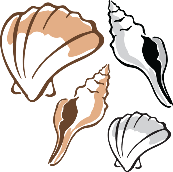Clip Art - Clam (1024x1024)