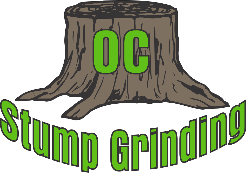 Clipart Tree Stump - Clip Art (960x676)