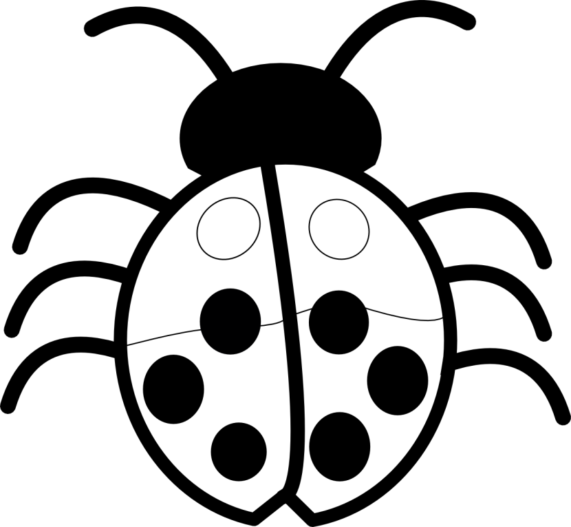 Flower Black And White Flower Clipart Black And White - Clipart Of Flowers Black And White (830x765)