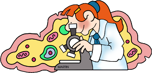 Cells - Cells Clipart (800x416)