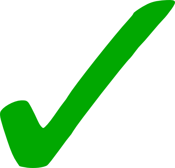 Green Check Mark Transparent (600x578)
