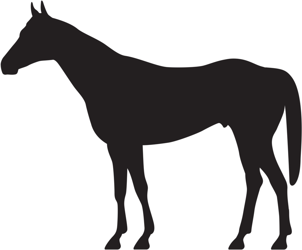 Moose Clipart (1000x823)