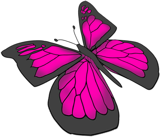 Beautiful Butterfly Images - Brush-footed Butterfly (588x532)