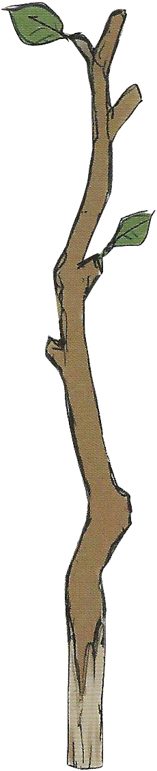 Tree Branch - Fire Emblem Tree Branch (230x1126)