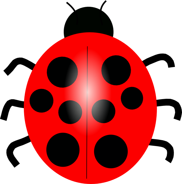 Cartoon Lady Bird Clip Art Library Clipart - Lady Bird Clip Art (588x596)