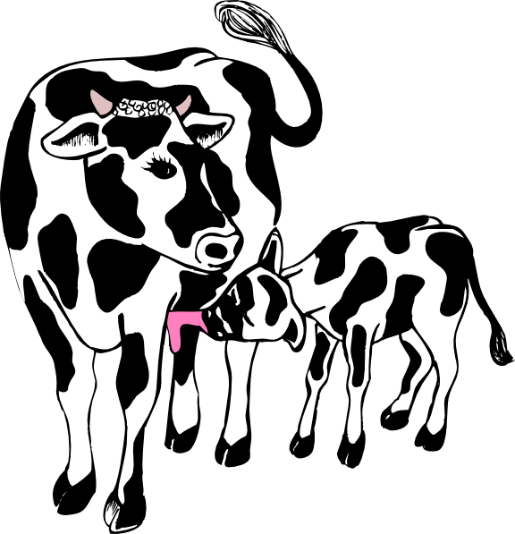 Cow And Calf Clip Art Vector Clipart Cliparts For You - Cow And Calf Cartoon (576x597)