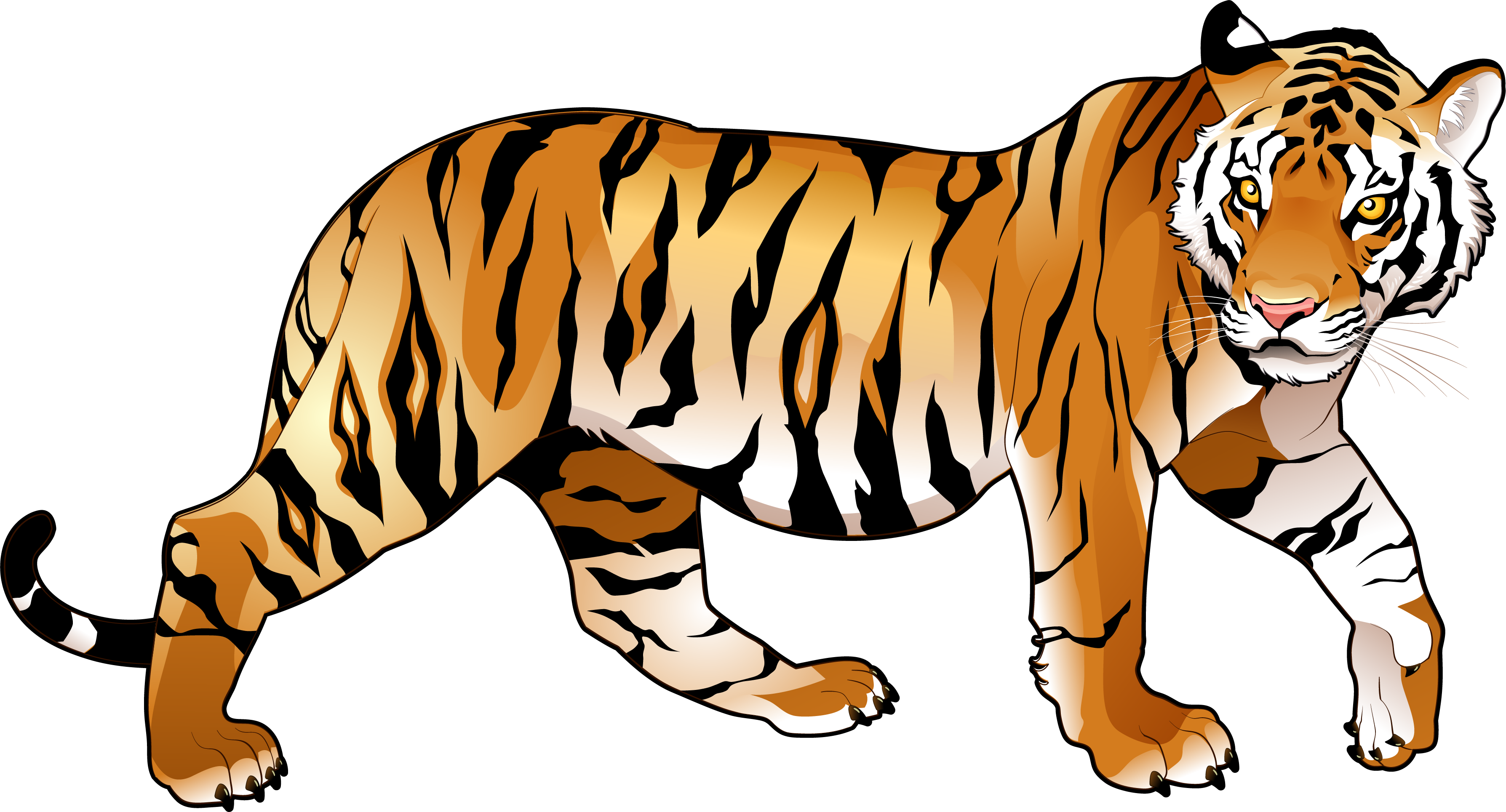 Tiger Clipart Png - National Animal Of India (3576x1929)