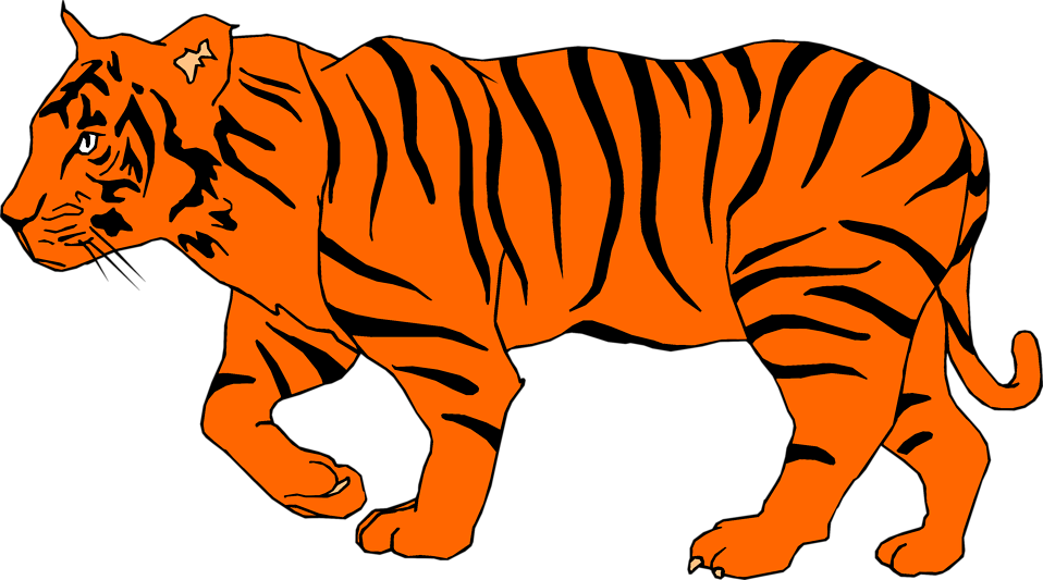 Tiger Cub Clipart Free Download Clip Art On - Illustration Of A Tiger (958x533)