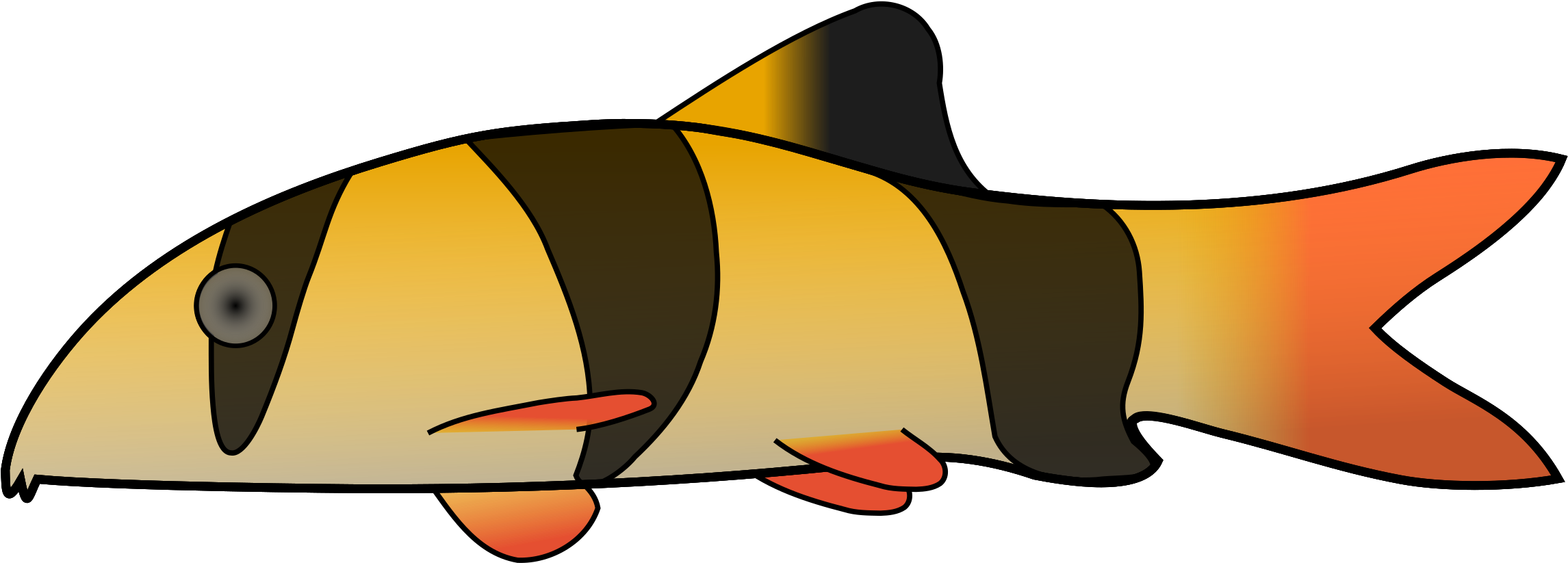 Big Image - Clown Loach Throw Blanket (2400x923)
