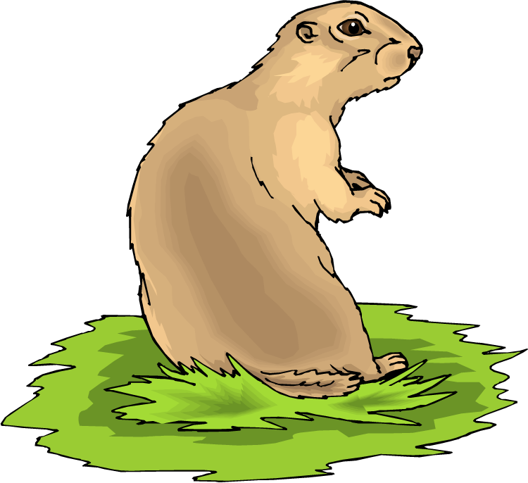 Free Prairie Dog Clipart - Black Tailed Prairie Dog Clipart (750x686)