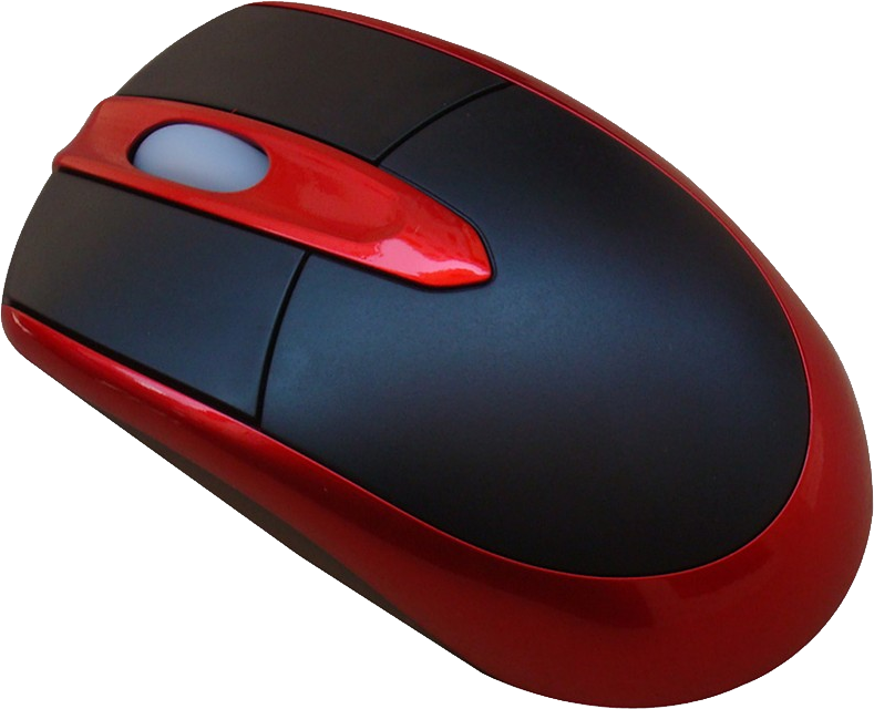 Computer Mouse Clip Art - Input Devices Of Computer (789x640)
