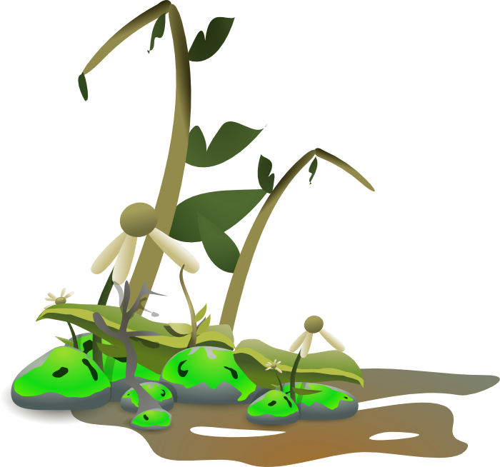 Distopia - Dying Plant Clipart (700x654)