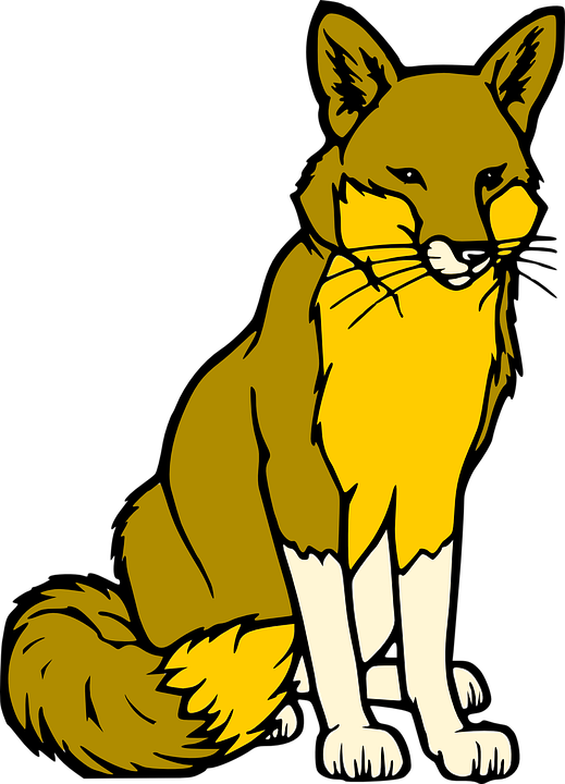 Fox Coloring Page (519x720)
