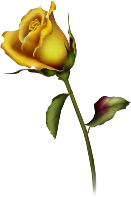 Yellow Rose Clipart Yellow Rose Bud Clip Art Gallery - Rose Buds Tattoo Design (454x699)