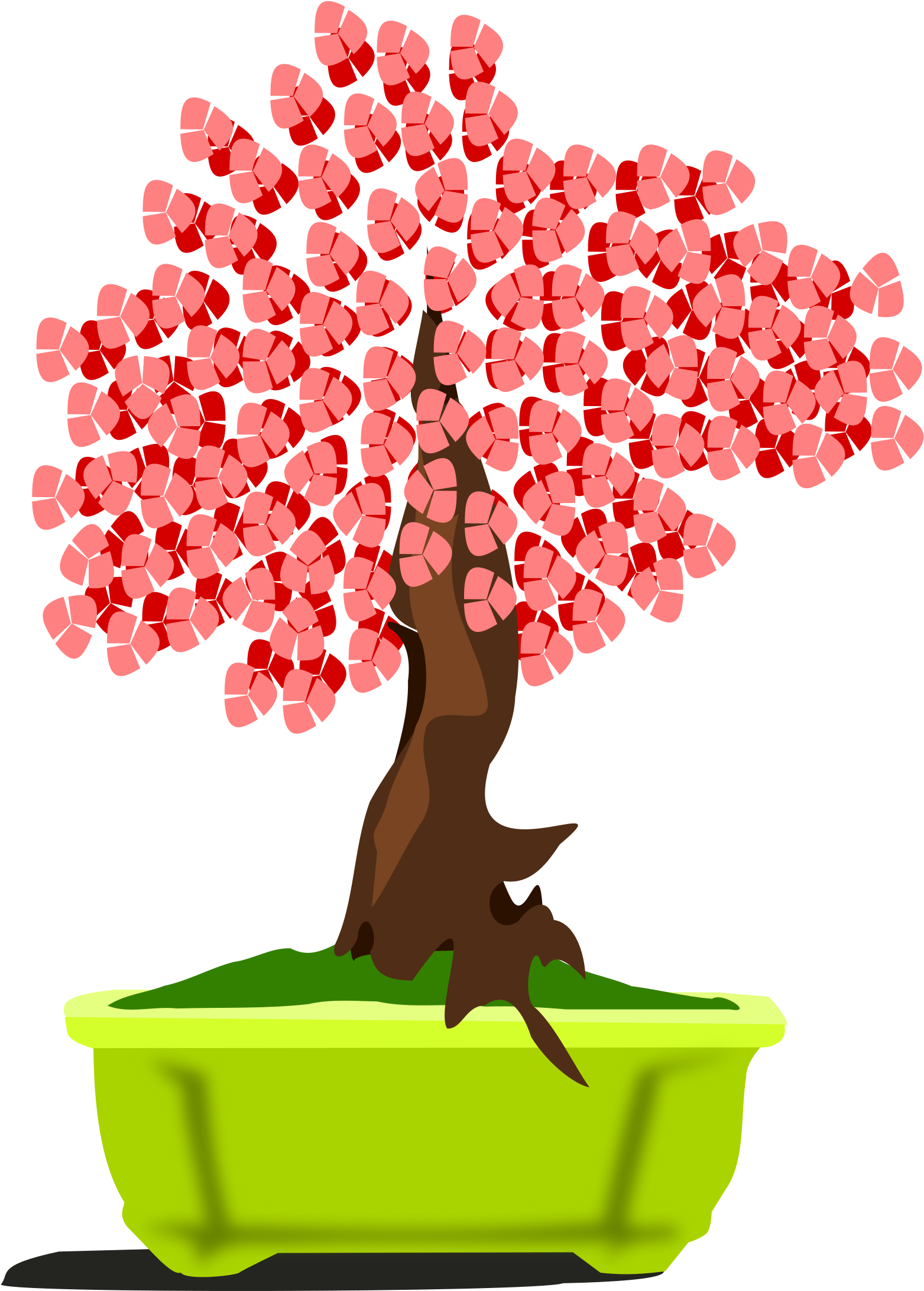 Bonsai-13 - Bonsai (2400x2400)