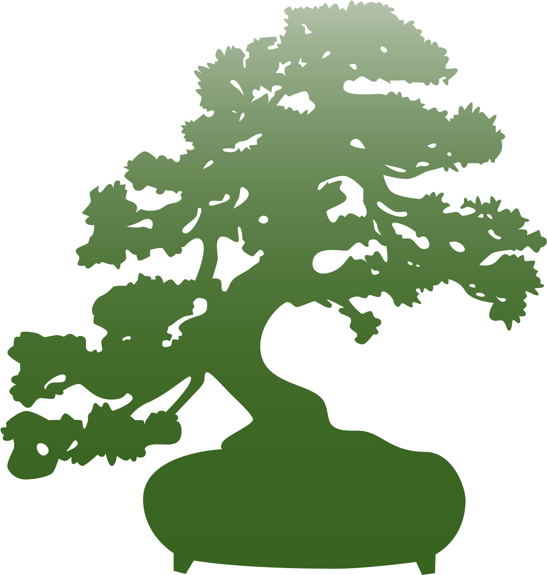 Open - Bonsai Png (2000x2142)