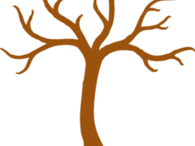 Empty Tree Cliparts - Tree Clipart Black And White (640x480)