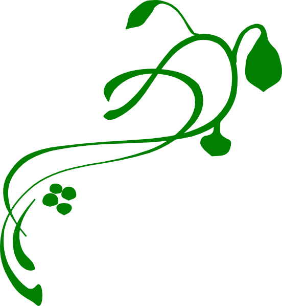 Ivy Clipart Vine - Lines, Vines And Trying Times (552x598)