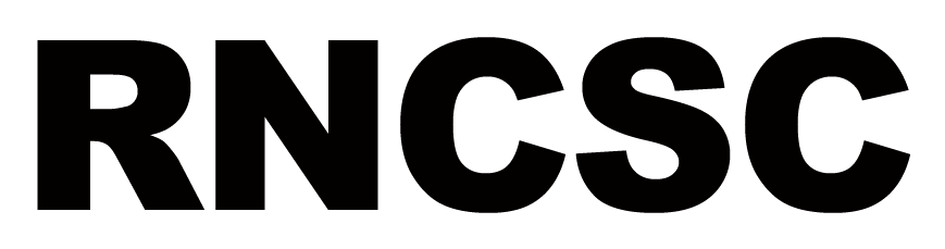 Logo - Brics (926x269)